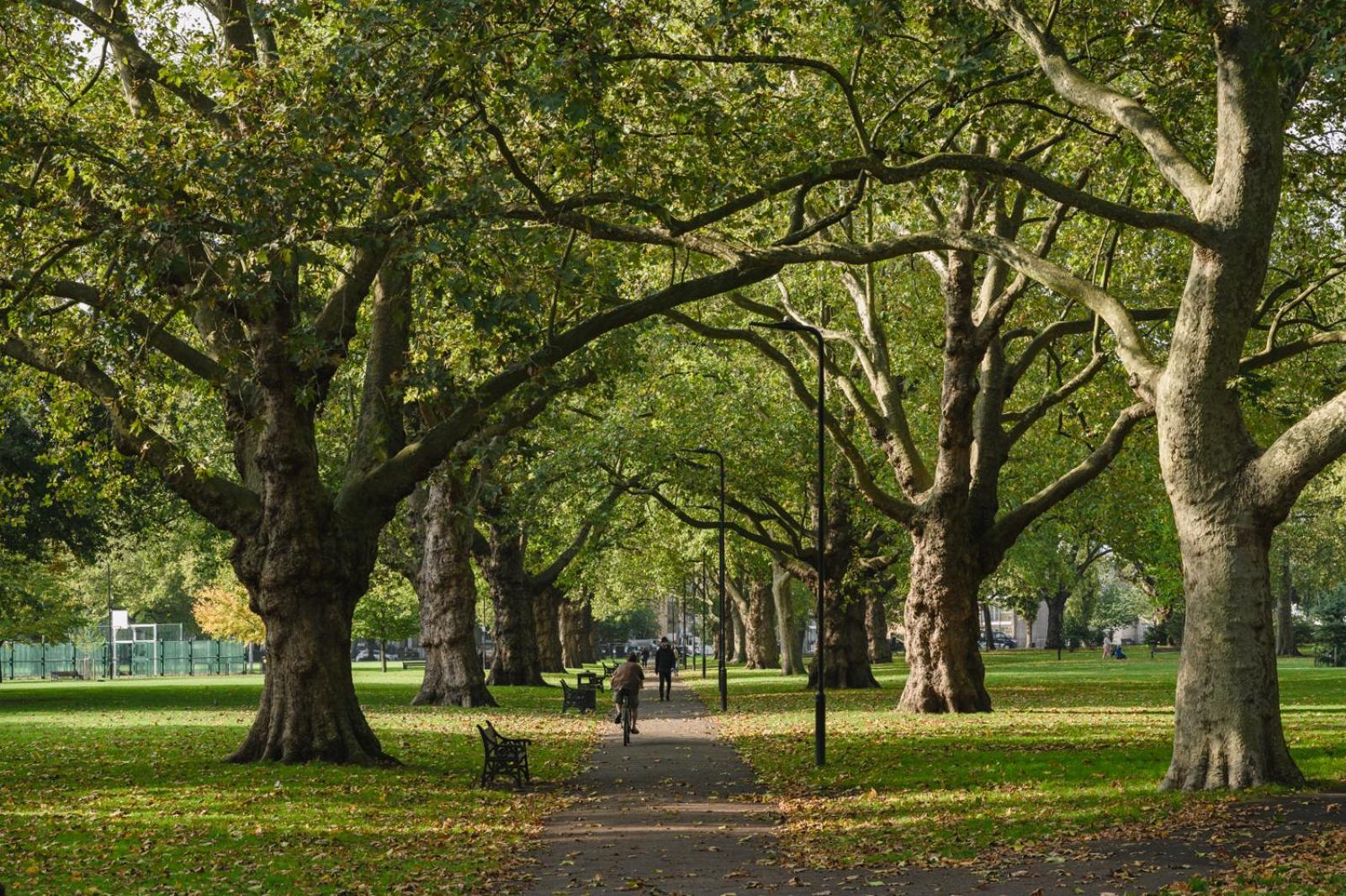 Lovely Apartment In Victoria Park Village London Eksteriør billede